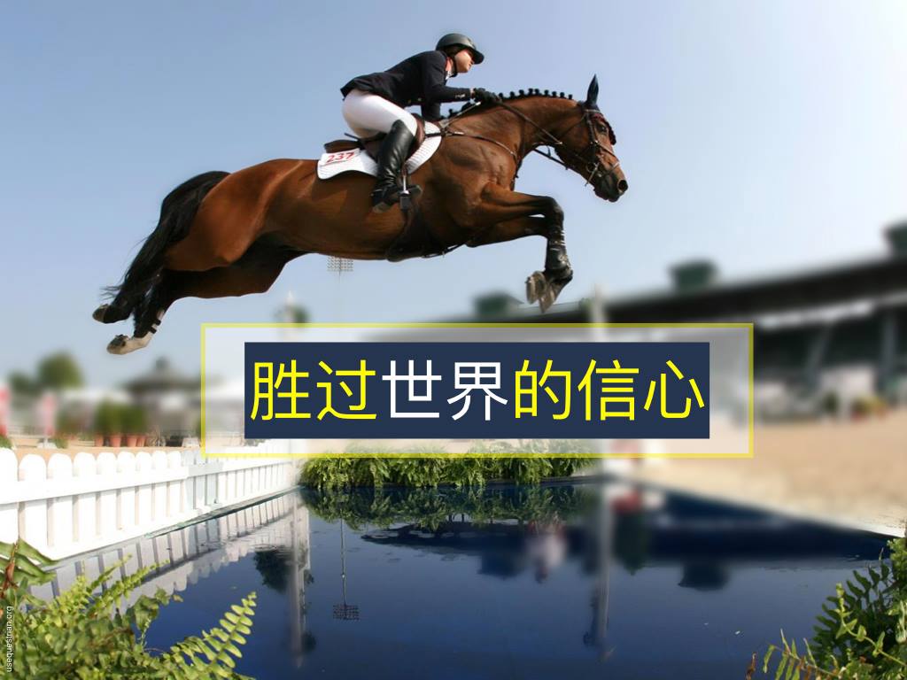 陈牧讲道（41-46）信心系列