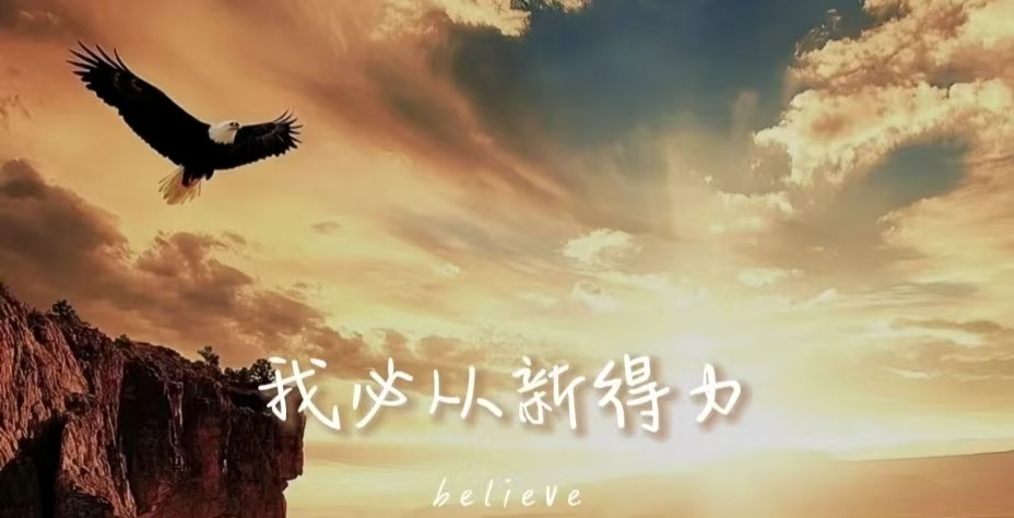 安静等候，重新得力  小兵