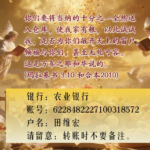 十一奉献